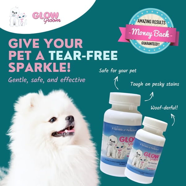 A square ad creative featuring a fluffy white dog next to tear stain supplement bottles with clear benefit callouts and a money-back guarantee seal.